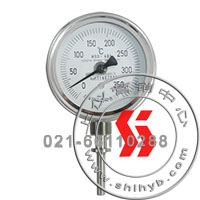 WSS-481˫¶ȼ