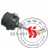 UZK-02G0302-2-dBT4ʽλ